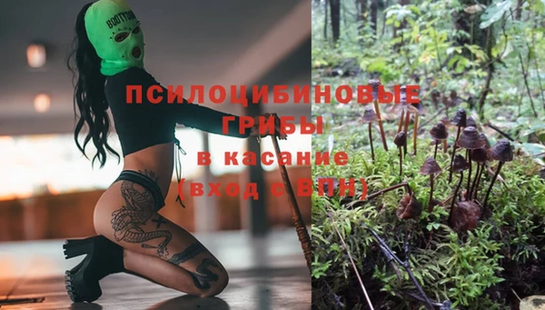 дживик Протвино