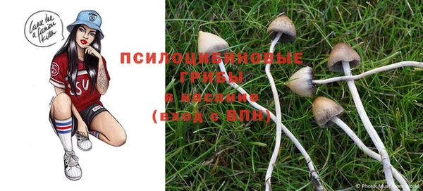 тгк Пролетарск