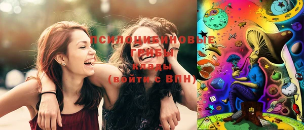 тгк Пролетарск
