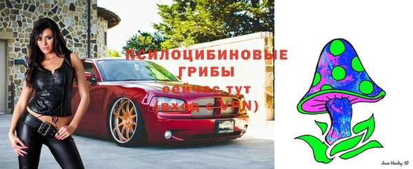 МДПВ Приозерск